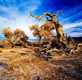 《超级马里奥：奥德赛》速通新纪录达成 57分钟依然难突破